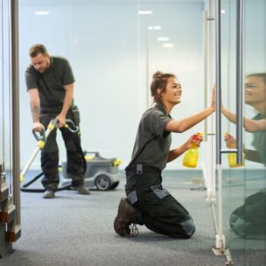 people cleaning