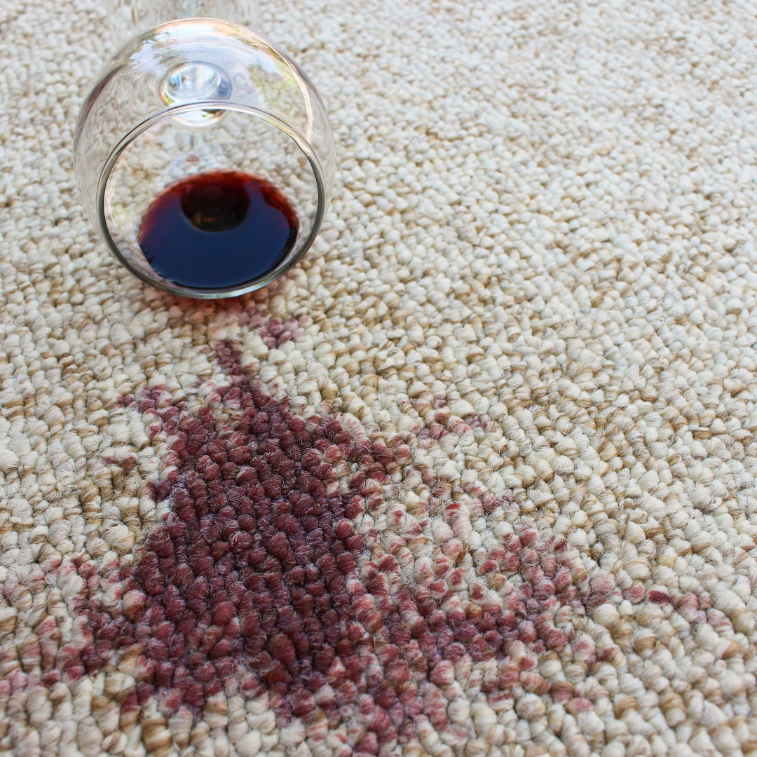 Tips for Choosing the Right Carpet Cleaning Equipment - Blog Image 1